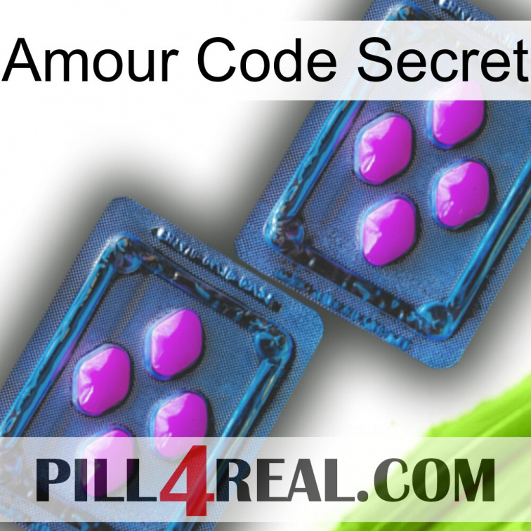 Love Secret Code 03